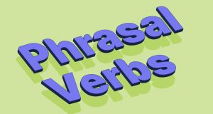 What are daily use Phrasal verbs